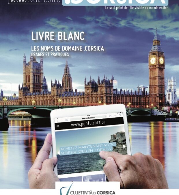 [LIVRE BLANC] LES NOMS DE DOMAINE EN .CORSICA: USAGES ET PRATIQUES.